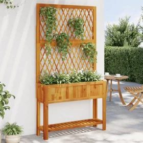Jardinera con enrejado y estante acacia maciza 100x32x185 cm de , Maceteros y jardineras - Ref: Foro24-364899, Precio: 202,13...