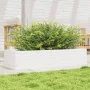 Jardinera de madera maciza de pino blanco 110x40x23 cm de , Maceteros y jardineras - Ref: Foro24-847229, Precio: 89,85 €, Des...