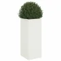Jardinera acero blanco 32x29x75 cm de , Maceteros y jardineras - Ref: Foro24-841572, Precio: 60,72 €, Descuento: %