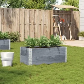 Jardinera de madera maciza de pino gris 100x50 cm de , Maceteros y jardineras - Ref: Foro24-3295393, Precio: 71,09 €, Descuen...