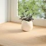 Alféizares de ventana 2 uds madera maciza roble sin tratar by , Marcos de ventanas - Ref: Foro24-4009119, Price: 83,76 €, Dis...