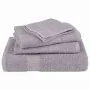 Toallas de mano 4 piezas gris 50x100 cm 360 gsm 100% algodón de , Toallas - Ref: Foro24-136831, Precio: 24,48 €, Descuento: %