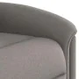 Sillón reclinable de tela gris taupe de , Sillones - Ref: Foro24-4015623, Precio: 201,69 €, Descuento: %