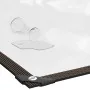 Lona transparente con ojales polietileno 6x10 m de , Lonas impermeables - Ref: Foro24-4018575, Precio: 92,37 €, Descuento: %