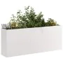 Jardinera 200x40x80 cm acero inoxidable de , Maceteros y jardineras - Ref: Foro24-860728, Precio: 237,78 €, Descuento: %