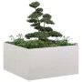 Jardinera 80x80x40 cm Acero inoxidable de , Maceteros y jardineras - Ref: Foro24-860742, Precio: 98,51 €, Descuento: %