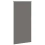 Estor Enrollable Opaco gris 70x175 cm Tela Ancho 65,7 cm de , Persianas y estores - Ref: Foro24-4011148, Precio: 16,89 €, Des...