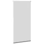 Estor Enrollable Opaco gris 70x175 cm Tela Ancho 65,7 cm de , Persianas y estores - Ref: Foro24-4011148, Precio: 16,89 €, Des...