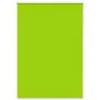 Estor Enrollable Opaco hojas verde 90x130 cm Tela Ancho 85,7 cm de , Persianas y estores - Ref: Foro24-4011230, Precio: 18,68...