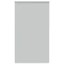 Estor Enrollable Opaco gris claro 125x230 cm Tela Ancho 121,6cm de , Persianas y estores - Ref: Foro24-4011471, Precio: 27,95...