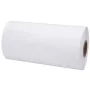 Film estirable agrícola blanco 25 µm 50 cm x 1800 m de , Materiales de embalaje - Ref: Foro24-4104888, Precio: 128,14 €, Desc...