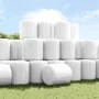 Film estirable agrícola blanco 25 µm 50 cm x 1800 m de , Materiales de embalaje - Ref: Foro24-4104888, Precio: 128,14 €, Desc...