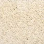 Alfombrilla escalera 30 uds color crema 56x17x3 cm de , Alfombrillas para escalones - Ref: Foro24-3365803, Precio: 154,32 €, ...