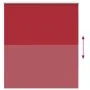 Estor Enrollable Opaco Rojo 120x150 cm Tela Ancho 116,6 cm de , Persianas y estores - Ref: Foro24-4011782, Precio: 25,64 €, D...