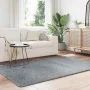 Alfombra de pelo largo NAVARRA gris plateado 130x200 cm de , Alfombras - Ref: Foro24-4102836, Precio: 43,78 €, Descuento: %