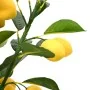 Limonero artificial 136 hojas 120 cm verde by , artificial flora - Ref: Foro24-4103589, Price: 66,25 €, Discount: %
