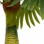 Planta de palma artificial 9 hojas 65 cm verde by , artificial flora - Ref: Foro24-4103582, Price: 26,40 €, Discount: %