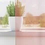 Cortinas de gasa con trabillas 2 uds rosa 140x245 cm de , Cortinas y visillos - Ref: Foro24-4102289, Precio: 14,92 €, Descuen...