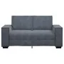 Sofá de 2 plazas de terciopelo gris oscuro 120 cm by , Sofas - Ref: Foro24-4105011, Price: 209,50 €, Discount: %
