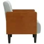 Sillón con reposabrazos Terciopelo Gris Claro 55 cm de , Sillones - Ref: Foro24-4100595, Precio: 145,97 €, Descuento: %