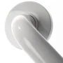 RIDDER Barra de sujeción 30 cm aluminio blanco A00130101 de , Asideros de seguridad - Ref: Foro24-421580, Precio: 30,67 €, De...
