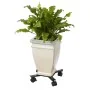 Nature Carrito para plantas ajustable 4 brazos netal negro de , Soportes para macetas - Ref: Foro24-442636, Precio: 35,43 €, ...
