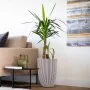 Capi Jarrón elegante Groove marfil 46x58 cm de , Maceteros y jardineras - Ref: Foro24-445499, Precio: 148,44 €, Descuento: %