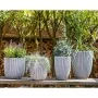 Capi Jarrón elegante Groove marfil 46x58 cm de , Maceteros y jardineras - Ref: Foro24-445499, Precio: 148,44 €, Descuento: %