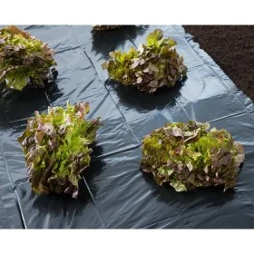 Nature Lona de suelo negra 3x4 m 100µ de , Accesorios de jardinería - Ref: Foro24-446374, Precio: 21,54 €, Descuento: %