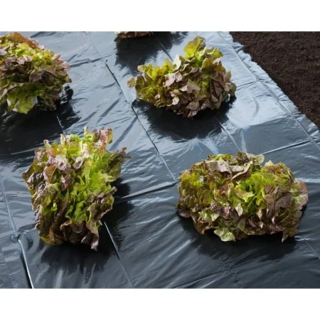 Nature Lona de suelo negra 3x4 m 100µ de , Accesorios de jardinería - Ref: Foro24-446374, Precio: 21,54 €, Descuento: %