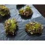 Nature Lona de suelo negra 3x4 m 100µ de , Accesorios de jardinería - Ref: Foro24-446374, Precio: 21,54 €, Descuento: %