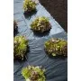 Nature Lona de suelo negra 3x4 m 100µ de , Accesorios de jardinería - Ref: Foro24-446374, Precio: 21,54 €, Descuento: %
