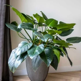 Capi Jarrón elegante Groove gris antracita 46x58 cm by , Pots and planters - Ref: Foro24-445501, Price: 141,49 €, Discount: %