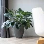 Capi Jarrón elegante Groove gris antracita 46x58 cm de , Maceteros y jardineras - Ref: Foro24-445501, Precio: 141,49 €, Descu...