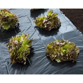 Nature Lona de suelo negro 3x4 m 150µ de , Accesorios de jardinería - Ref: Foro24-446376, Precio: 23,89 €, Descuento: %