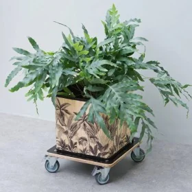 Nature Soporte con ruedas para plantas cuadrado madera negro 38x38 cm de , Soportes para macetas - Ref: Foro24-446407, Precio...