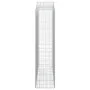 Cestas de gaviones 7 uds forma de arco hierro 200x50x200/220 cm de , Maceteros y jardineras - Ref: Foro24-3145750, Precio: 98...