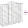 Cestas gaviones 40 uds forma de arco hierro 200x50x160/180 cm de , Maceteros y jardineras - Ref: Foro24-3146401, Precio: 4,00...