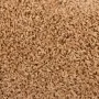 Alfombrillas de escalera 10 unidades beige 65x21x4 cm de , Alfombrillas para escalones - Ref: Foro24-149803, Precio: 59,64 €,...