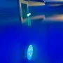 Gre Luz LED para piscina elevada blanca y azul LEDRC de , Accesorios para piscinas y spa - Ref: Foro24-412414, Precio: 37,74 ...