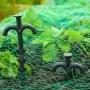 Nature Soportes de red 10 unidades 25 cm de , Accesorios de jardinería - Ref: Foro24-423503, Precio: 15,55 €, Descuento: %