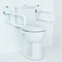 RIDDER Barra de apoyo para inodoro 55,5 cm 100 kg A0130101 de , Asideros de seguridad - Ref: Foro24-421616, Precio: 123,14 €,...
