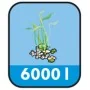 Ubbink Set de filtros de estanque FiltraClear 6000 PlusSet 1355166 de , Accesorios para estanques y fuentes - Ref: Foro24-401...