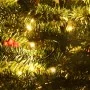 Árboles de Navidad artificiales 2 uds corona, guirnalda y LED de , Arboles de navidad - Ref: Foro24-344648, Precio: 111,55 €,...