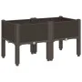 Jardinera con patas PP marrón 80x40x42 cm de , Maceteros y jardineras - Ref: Foro24-367895, Precio: 58,81 €, Descuento: %