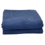Alfombra de tienda de campaña azul 4,5x2,5 m de , Accesorios para tiendas de campaña - Ref: Foro24-4008460, Precio: 40,91 €, ...