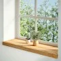 Alféizares de ventana 2 uds madera maciza roble marrón claro von , Marcos de ventanas - Ref: Foro24-4009149, Preis: 87,19 €, ...