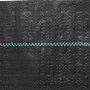 Membrana para malezas PP negra 2x100 m de , Mallas antihierbas - Ref: Foro24-4005196, Precio: 101,37 €, Descuento: %