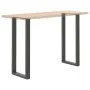 Patas mesa centro forma U 2uds acero antracita 50x(110-111) cm by , Table legs - Ref: Foro24-4013246, Price: 107,07 €, Discou...