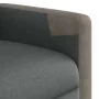 Sillón reclinable eléctrico de tela gris oscuro de , Sillones - Ref: Foro24-3324081, Precio: 244,12 €, Descuento: %